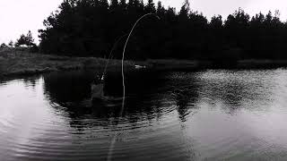 advanced looking but surprisingly easy spey casting techniques from 2020 by Michael Rebholz [upl. by Naor65]