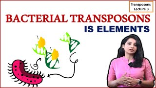 Bacterial Transposons I IS Elements I Composite and Non composite Transposons I [upl. by Dewhurst]