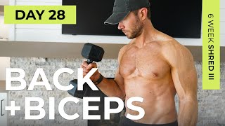 Day 28 30 Min BUILD BACK amp BICEPS at Home  Abs Dumbbell Workout  6WS3 [upl. by Kcirrez]