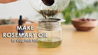 Make rosemary oil at home to stop hair fall and regrow thinning hair [upl. by Dnomsed]