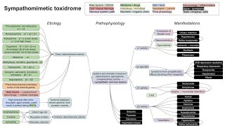 Sympathomimetic toxidrome mechanism of disease [upl. by Nalani]