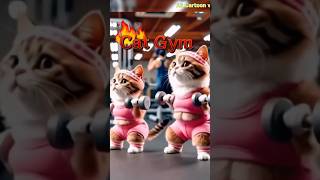 Cat Gym video🐱 👌catshorts Socute funny [upl. by Burger]