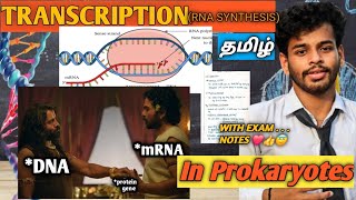 TranscriptionprokaryotestamilnotesRna synthesisprocessdiagramgene expressioncsir netDna [upl. by Aicelef]