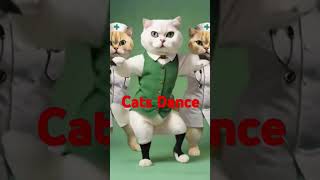 Dancing Paws – light and funCatGrooveFelineFunkDancingPawsKittyMovesCatDanceVibescatcare [upl. by Azilem]