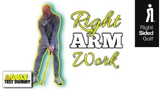 Week 3  Gary Edwin Right Sided Swing  Golf Practice at Home  Golf Test Dummy [upl. by Jamin]