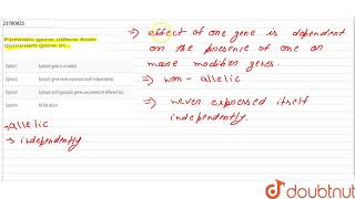 Epistatic gene differs from dominant gene in [upl. by Oht]