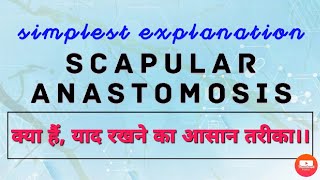 SCAPULAR ANASTOMOSIS [upl. by Adlemy412]