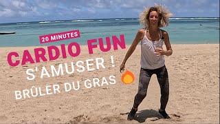 Cardio Sans Impact  20 Minutes pour Brûler des Graisses en samusant [upl. by Chrissie]