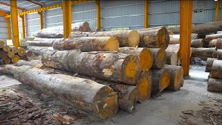 GIANT WOOD LOGS to WOODEN PALLETS The Amazing Process in VIETNAM [upl. by Firehs422]