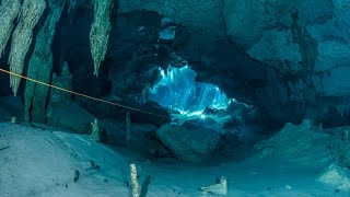 Cenote diving Dos Ojos Mexico [upl. by Philippa]