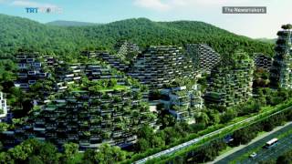 Picture this Chinas green city [upl. by Secnirp]