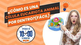 ¿Cómo es una célula eucariota animal por DENTRO FÁCIL [upl. by Aliemaj]