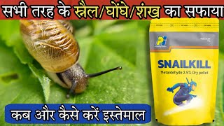 Snailkill pesticide How to control snail and slugs Metaldehyde pesticide [upl. by Presber]