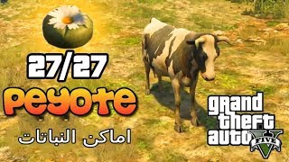 قراند جميع مواقع النباتات  27 GTA V All peyote plant Location [upl. by Pen474]