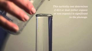 How Is Turbidity Measured For Down Filling [upl. by Michale]