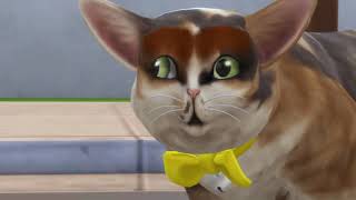 GrayStillPlays The Sims 4 but its only the cats continued [upl. by Ennovaj172]