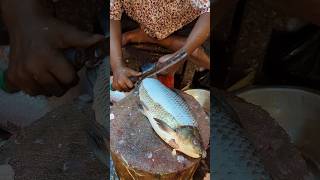 Fish Cutting Skills  Amazing Huge Rohu Fish Skinning And Cutting Skills In Bangladesh  shorts [upl. by Star]