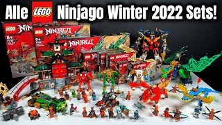 Eine riesige Welle LEGO Ninjago Winter 2022 Sets Review  Transformer Mech amp Tempel [upl. by Alfred922]