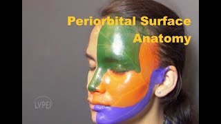 Surface anatomy of the Periorbital Region A Beginners guide [upl. by Enahsed]