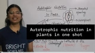 Autotrophic nutrition in plants class 7th education study students viralvideo [upl. by Ruckman]