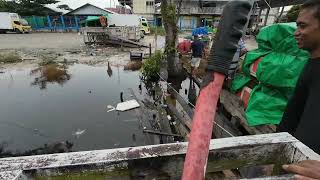 Tehnik pancing jaring dapat ikan besar [upl. by Duthie]