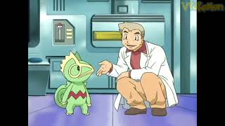 Kecleon attacks Professor Oak  Professor Oak Funny Moments [upl. by Otaner618]