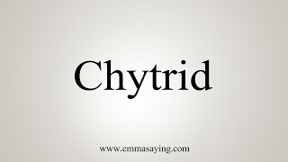 How To Say Chytrid [upl. by Aisya]