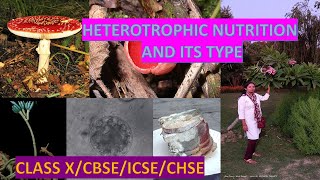 HETEROTROPHIC NUTRITION AND ITS TYPE [upl. by Colly248]