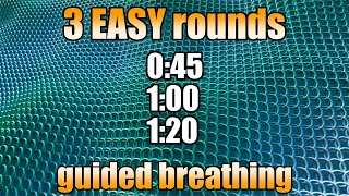 Easy Guided Breathing  3 rounds Wim Hof Breathwork [upl. by Vikky]