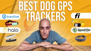 Best Dog GPS Tracker in 2024 I Tested All of Them [upl. by Inram]