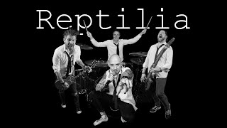 Reptilia  The Strokes Reptilia the Band Live Cover [upl. by Rube]