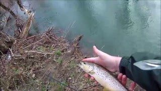 WNY tenkara fishing in february [upl. by Struve271]