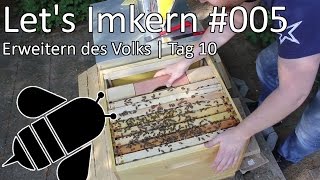 Lets Imkern  005  Erweitern des Volks  Tag 10 [upl. by Roti]