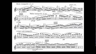 Bartok B mvt1 begin 2nd violin concerto [upl. by Emera]