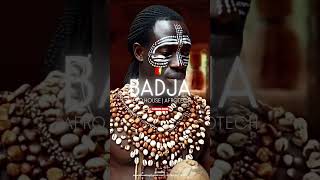 Bouédi Mahārāja  Badja Extract Original mix Afro House  Afrotech  Progressive [upl. by Rhee]