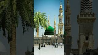 Ya Nabi Nazre Karam Farmana  Ey Hasnain Ke Nana  Milad Raza Qadri  Official Video  Naat Song [upl. by Hsizan]