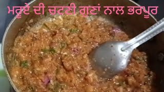 ਗੁਣਾਂ ਨਾਲ ਭਰਪੂਰ ਮਰੂਏ ਦੀ ਚਟਣੀ quotmarjoram plant quotमरुया की चटनी viralvideo by shuruat safar ki vlog [upl. by Roxy297]