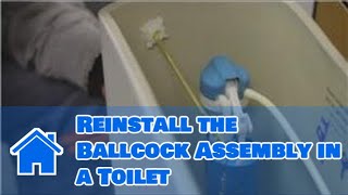 Toilet Repair  How to Reinstall the Ballcock Assembly in a Toilet [upl. by Niel]