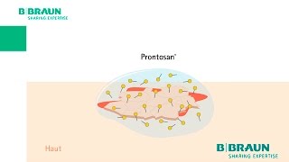 Prontosan®  Sehen Sie das Betain in Aktion [upl. by Jareb]