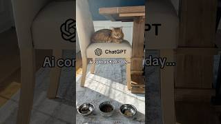 Ai CONTROLS MY CATS DAY 😳 viral [upl. by Einittirb]