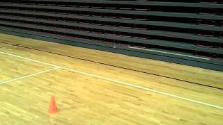 Pro Agility Post Triphasic End View [upl. by Phelgon]