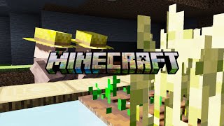 LIM  MCPE Texture Pack Cinematic x Showcase [upl. by Agn337]