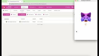 Polkadot js apps and Metamask [upl. by Dibbell]