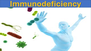 Understanding Immunodeficiency Causes Types and Treatments  Immune System [upl. by Eikcin]