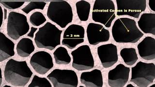 PAI Carbon Adsorption Training [upl. by Jun244]