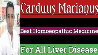 Carduus Marianus  Homoeopathic medicine  Liver Tonic  Explain in Hindi [upl. by Ile446]