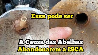 ISSO PODE SER A CAUSA DAS ABELHAS ABANDONAR A ISCA… [upl. by Herschel]