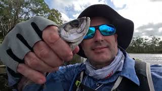 Noosa river fishing trip Nov2024 [upl. by Colvin]