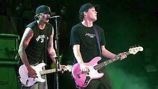 blink182  The Party Song Live  Blockbuster Pavilion CA USA 9142002 [upl. by Iris]