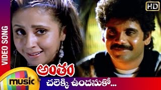 Antham Telugu Movie Songs  Chalekki Undanuko Video Song  Nagarjuna  Urmila  RGV  Mango Music [upl. by Bellis]